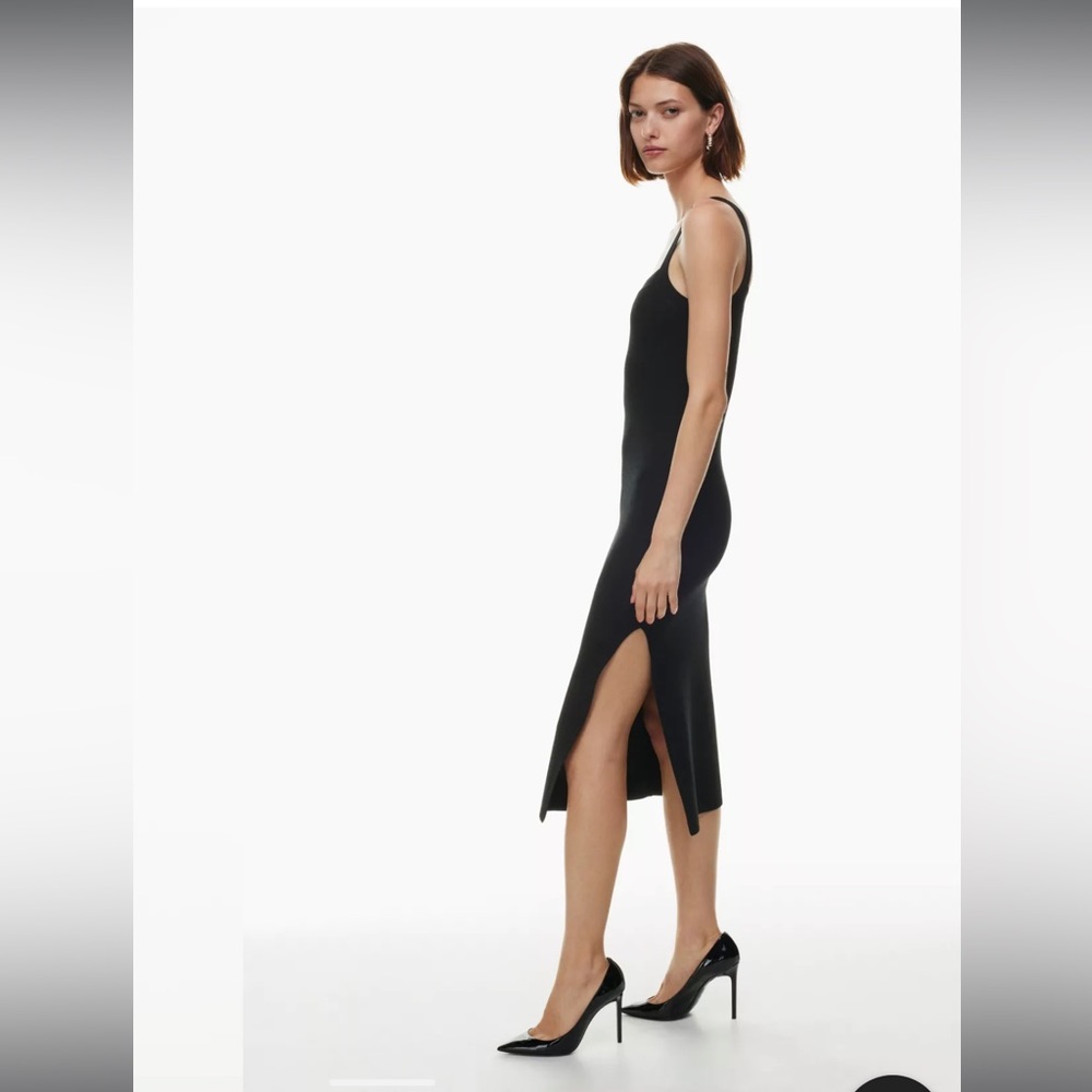 Babaton knit chase dress